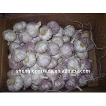 shandong frais pur blanc ail pour la vente 2011